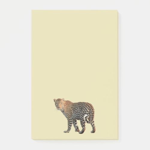 Beautiful Spotted Leopard Image Post_it Notes
