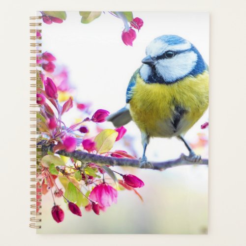 Beautiful Spring Bird Planner