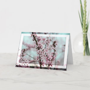 Beautiful Spring Cherry Blossom Card