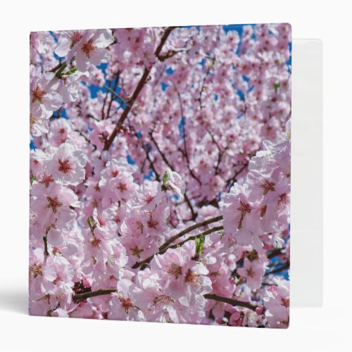 Beautiful Spring Cherry Blossoms 3 Ring Binder