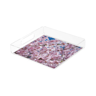 Beautiful Spring Cherry Blossoms Acrylic Tray