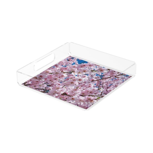 Beautiful Spring Cherry Blossoms Acrylic Tray (Angled)