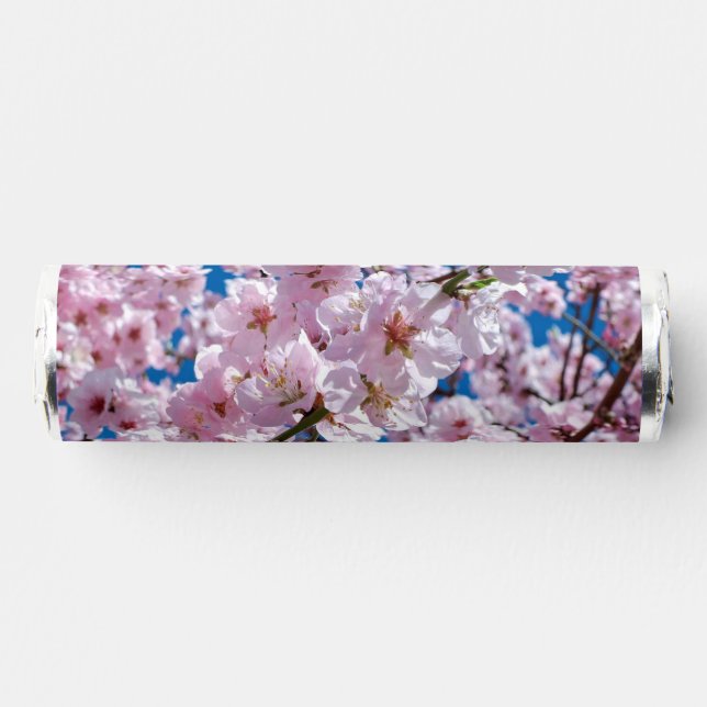 Beautiful Spring Cherry Blossoms Breath Savers® Mints (Front)