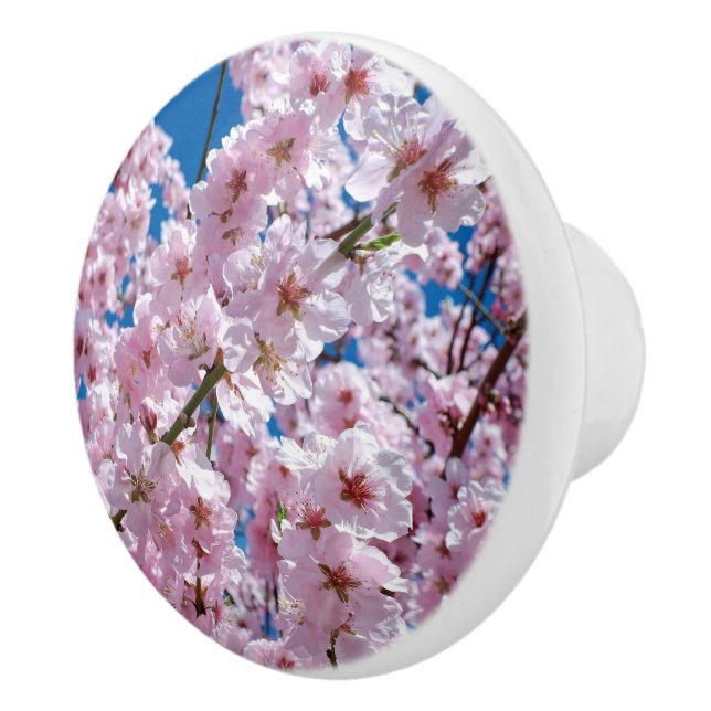 Beautiful Spring Cherry Blossoms Ceramic Knob (Right)