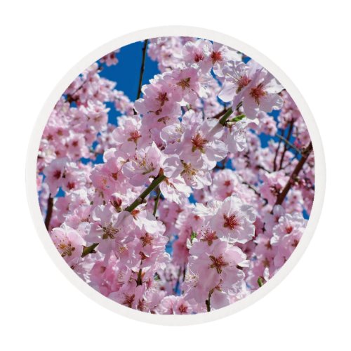 Beautiful Spring Cherry Blossoms Edible Frosting Rounds