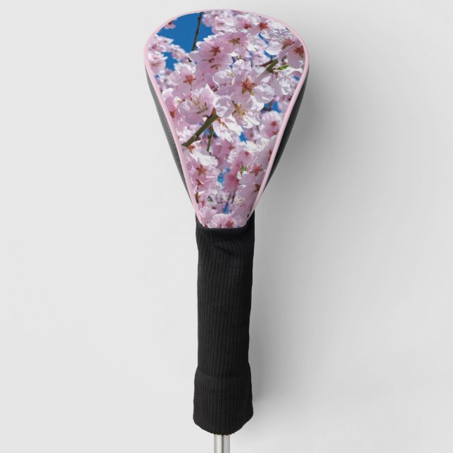 Beautiful Spring Cherry Blossoms Golf Head Cover (Front)