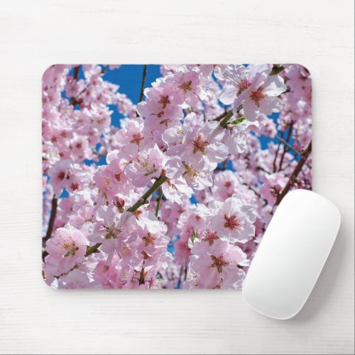Beautiful Spring Cherry Blossoms Mouse Pad