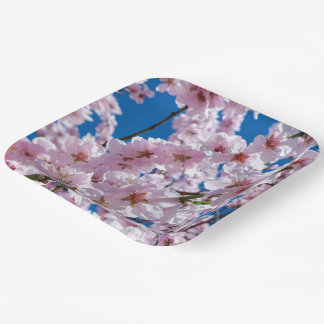 Beautiful Spring Cherry Blossoms Paper Plates
