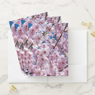 Beautiful Spring Cherry Blossoms Pocket Folder