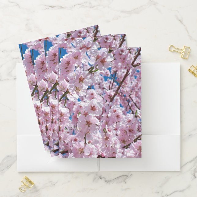 Beautiful Spring Cherry Blossoms Pocket Folder (In Situ)