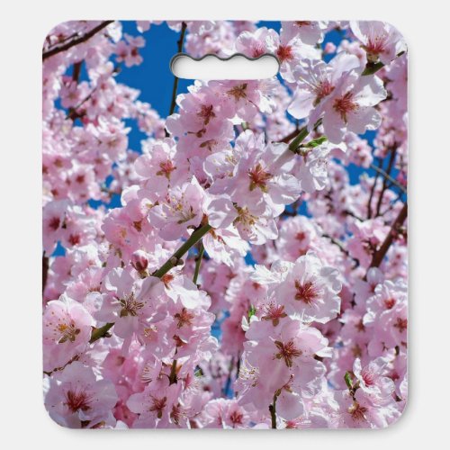 Beautiful Spring Cherry Blossoms Seat Cushion