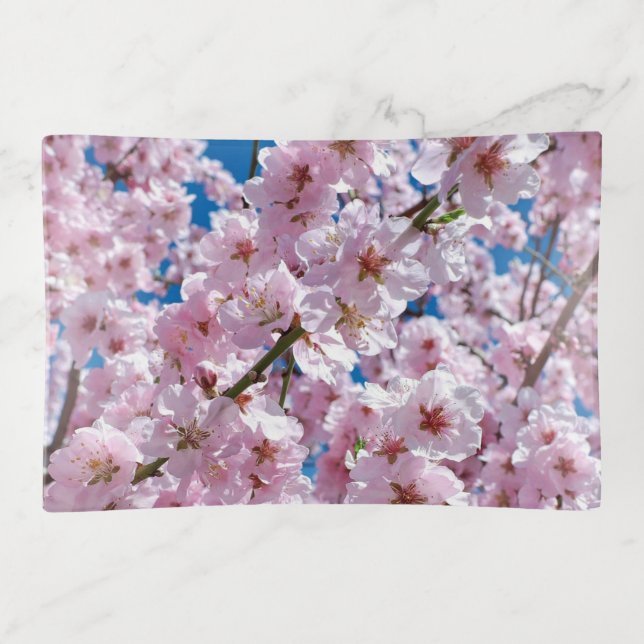 Beautiful Spring Cherry Blossoms Trinket Tray (Front)