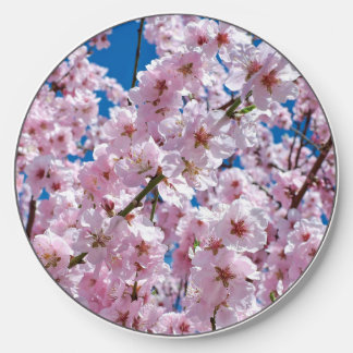 Beautiful Spring Cherry Blossoms Wireless Charger
