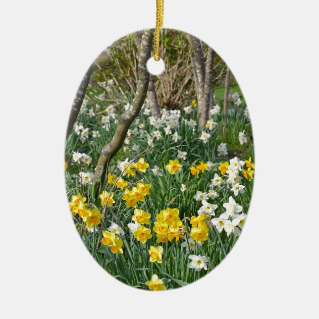 Beautiful spring daffodil garden ceramic ornament (Front)