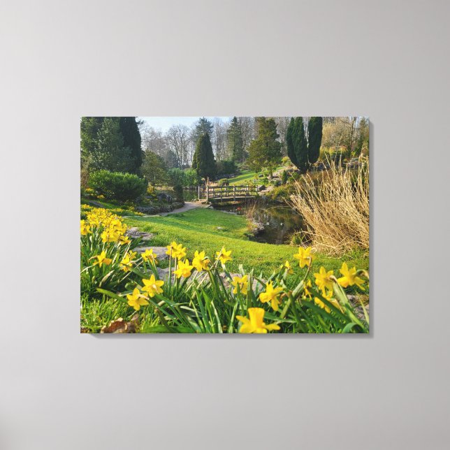 Beautiful Spring Daffodils  Canvas Print (Front)