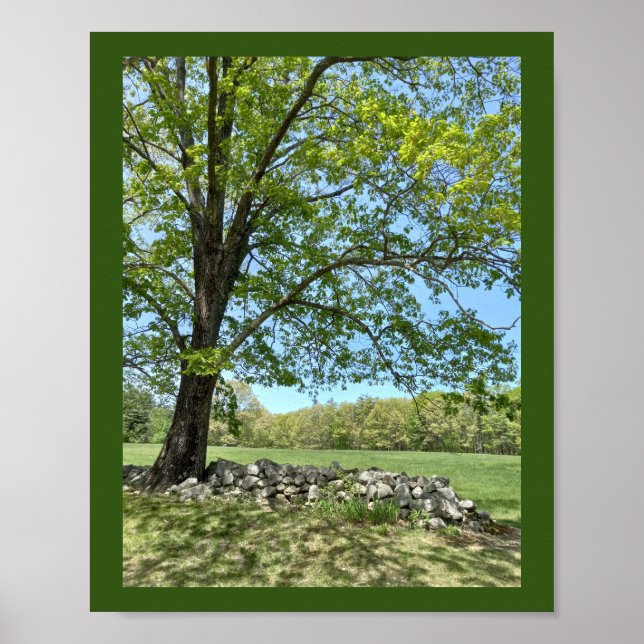Beautiful Spring Day Print (Front)