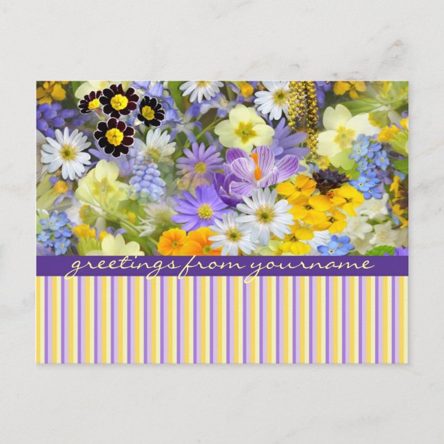 Beautiful Spring Flowers Collage Violet Yellow Postcard (Front)