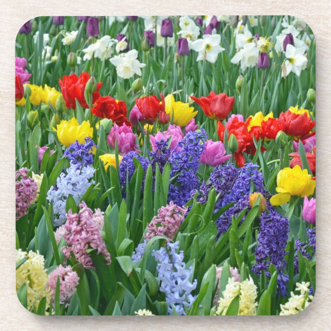 Beautiful spring garden coaster (Front)