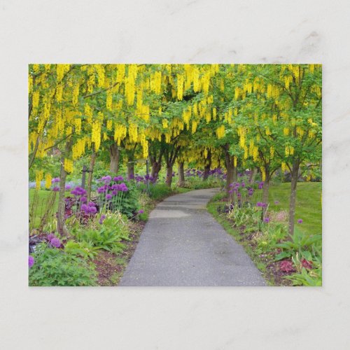 Beautiful spring garden path postcard
