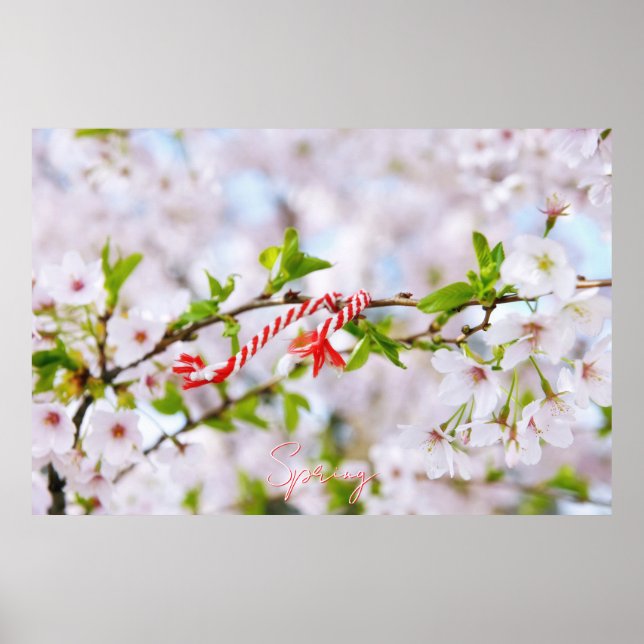 Beautiful spring greeting poster (Front)