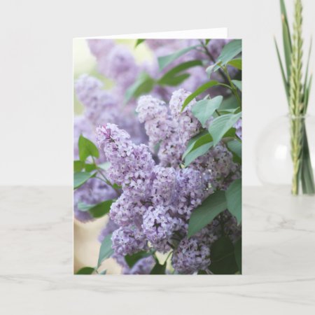 Beautiful Spring Old Fashioned Lilac Blank Card