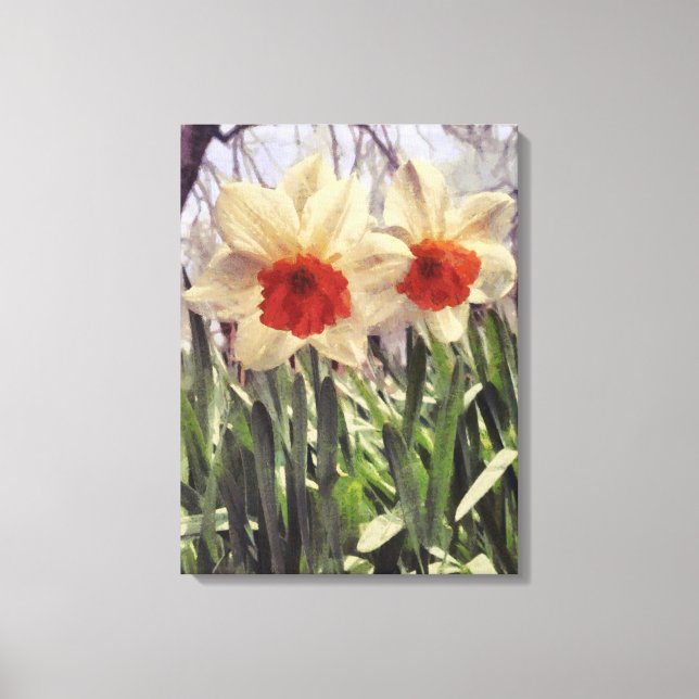 Beautiful Spring Painted Daffodil Flower Canvas Print (Front)