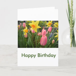 beautiful spring pink tulip flowers birthday card