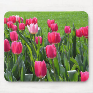 Beautiful spring pink tulip flowers,green leaves mouse pad