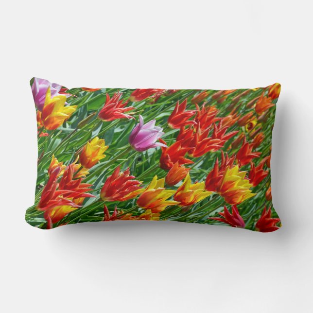 Beautiful spring tulip print pillow (Front)