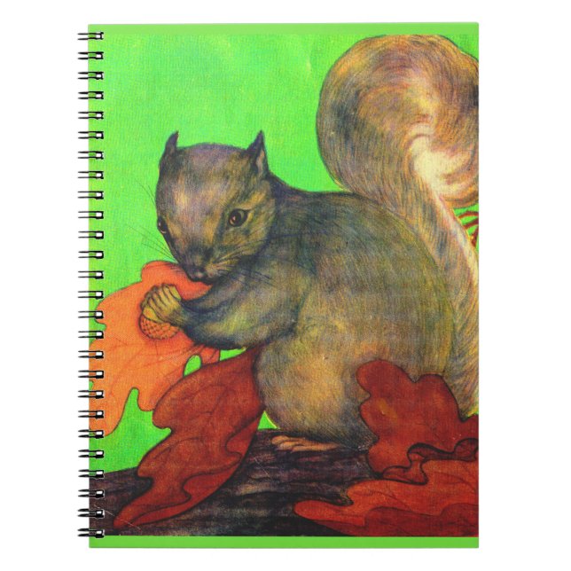beautiful squirrel notebook (Front)