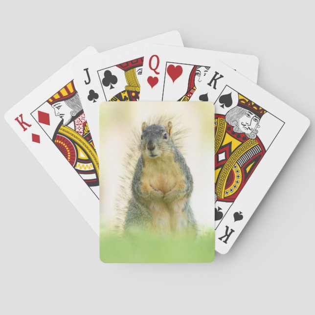 Beautiful Squirrel Playing Cards (Back)