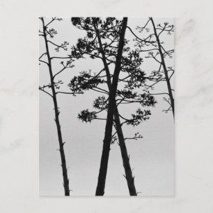 Beautiful stalk flowers postcard