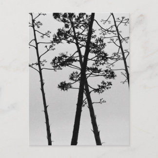 Beautiful stalk flowers postcard