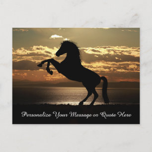 Beautiful Stallion Horse in Sunset Personalize Postcard