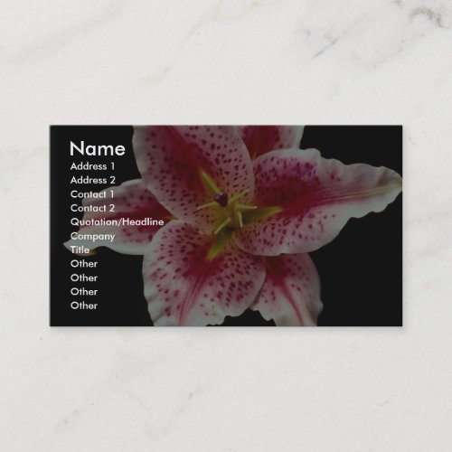 Beautiful Stargazer lily Business Card
