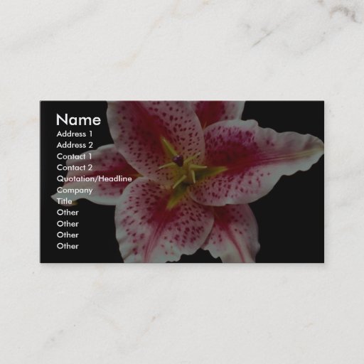 Customizable Beautiful Stargazer lily Business Card