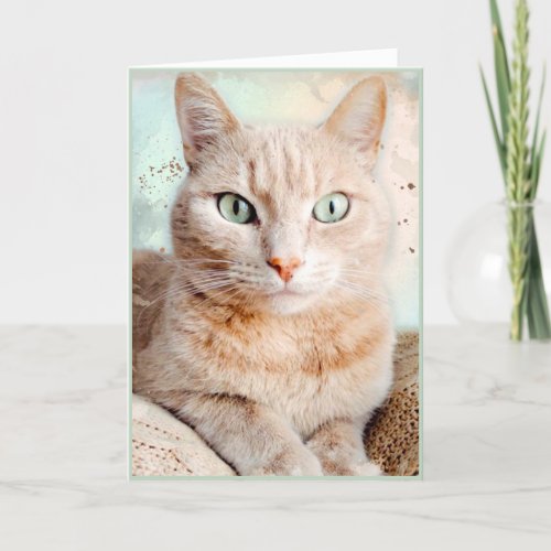 Beautiful Striped Tabby Cat Greeting Card