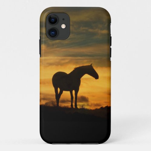 Beautiful Strong Horse Silhouetted Sunset iPhone 11 Case