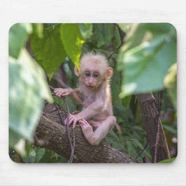 Beautiful Stump Tailed Macaque Mouse Pad (Front)