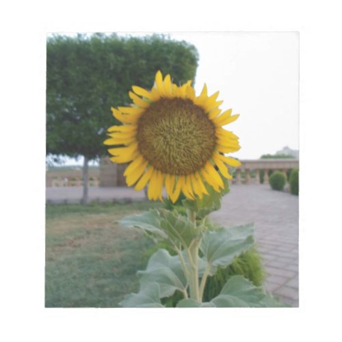 Beautiful Stunning Sunflower Notepad