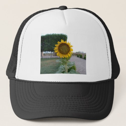 Beautiful Stunning Sunflower Trucker Hat