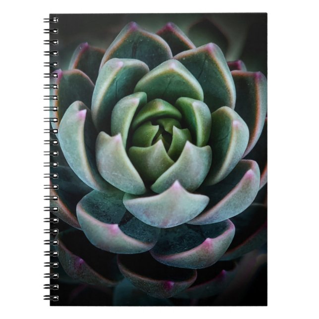 Beautiful Succulent Flower Nature Photography  Notebook (Front)