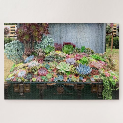 Beautiful Succulents in Treasure Chest Jigsaw Puzzle