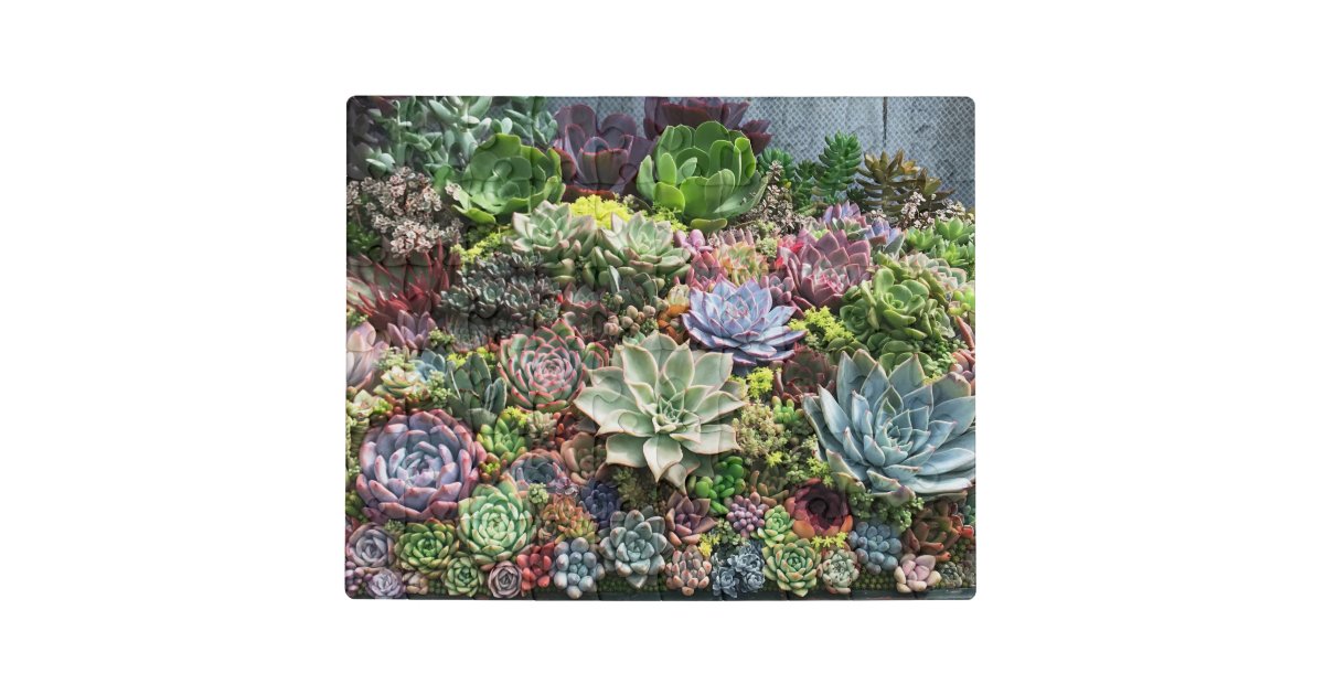 Beautiful Succulents Jigsaw Puzzle | Zazzle