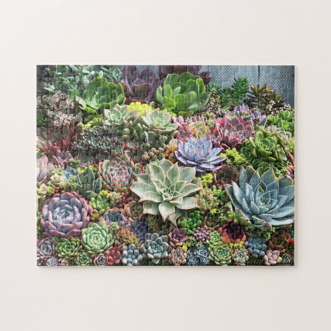Beautiful Succulents Jigsaw Puzzle | Zazzle