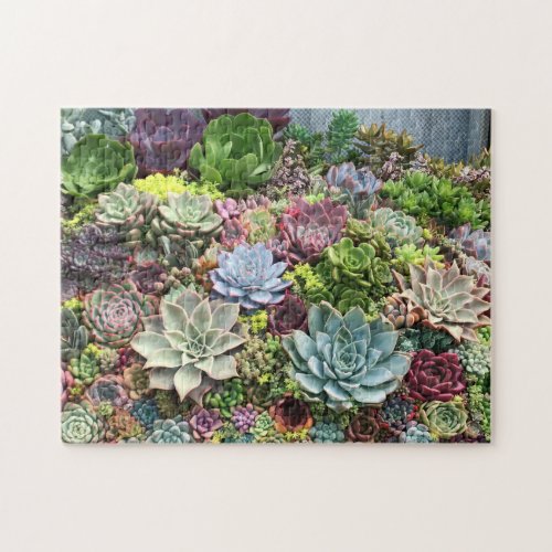 Beautiful Succulents Jigsaw Puzzle