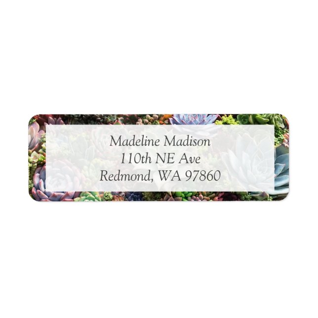 Beautiful Succulents Label (Front)