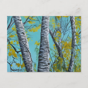 Beautiful Summer Birch Postcard