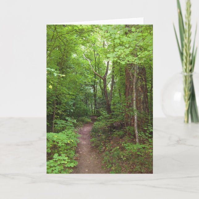Beautiful Summer Forest (3) Greeting Cards (Front)