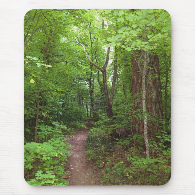 Beautiful Summer Forest (3) Mousepads (Front)